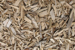 biomass boilers Haugh